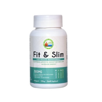FIT AND SLIM 90 Weight Loss Capsules by Medgiri Ayurveda